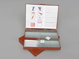 Комплект микропрепаратов "Общая биология" - fgospostavki.ru - Грозный