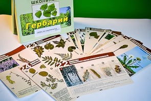 Гербарий к курсу основ общей биологии - fgospostavki.ru - Грозный