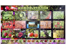 Комплект оборудования "Живой уголок" (растения) с тифлопереводом и сурдокомментариями - fgospostavki.ru - Грозный