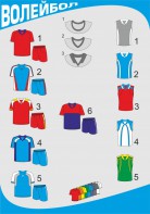 Форма волейбольная с длинными рукавами - fgospostavki.ru - Грозный