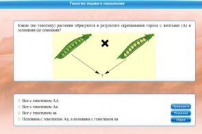 Интерактивные курсы. Биология 11 класс. Базовый. - fgospostavki.ru - Грозный