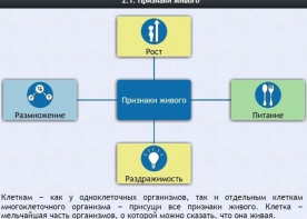 Интерактивные курсы. Биология 5 класс. Базовый - fgospostavki.ru - Грозный