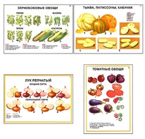 Плакаты ПРОФТЕХ "Ассортимент овощных культур" (12 пл, винил, 70х100) - fgospostavki.ru - Грозный