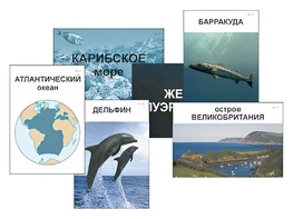 Модель-аппликация "Океаны. Знакомство" (ламинированная) - fgospostavki.ru - Грозный