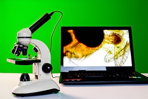 Микроскоп школьный с цифровой камерой - fgospostavki.ru - Грозный