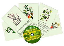 Интерактивный наглядный комплекс "Гербарий "Для начальной школы" - fgospostavki.ru - Грозный