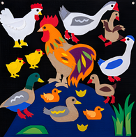 Пособие для слабовидящих детей «Домашние птицы» - fgospostavki.ru - Грозный