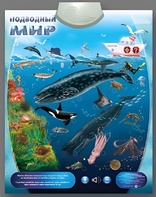 Озвученный плакат "Подводный мир" - fgospostavki.ru - Грозный