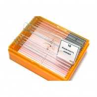 Набор готовых микропрепаратов (зоология) - fgospostavki.ru - Грозный