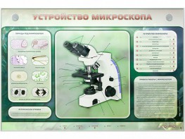Электрифицированный стенд "Устройство микроскопа и правила работы c ним" - fgospostavki.ru - Грозный
