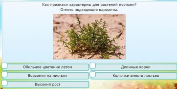 Интерактивные курсы. Окружающий мир 3 класс . Базовый. - fgospostavki.ru - Грозный