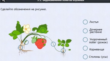 Интерактивные курсы. Биология 7 класс. Расширенный. - fgospostavki.ru - Грозный
