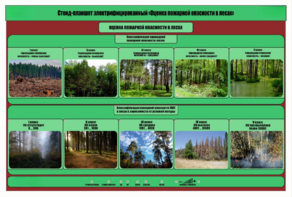 Стенд-планшет электрифицированный «Оценка пожарной опасности в лесах»  - fgospostavki.ru - Грозный