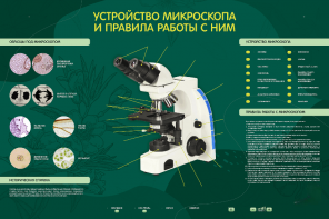 Электрифицированный стенд "Устройство микроскопа и правила работы c ним" - fgospostavki.ru - Грозный