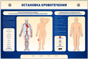 Электрифицированный стенд-тренажер "Остановка кровотечения" - fgospostavki.ru - Грозный