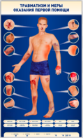 Электрифицированный стенд-тренажер "Травматизм и меры оказания первой помощи" - fgospostavki.ru - Грозный
