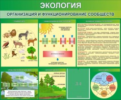Стенд "Экология. Организация и функционирование сообществ" - fgospostavki.ru - Грозный