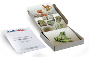 Модель-аппликация "Взаимодействия в природных сообществах" (набор из 23 карт) - fgospostavki.ru - Грозный