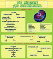Стенд "От клетки до организма" - fgospostavki.ru - Грозный