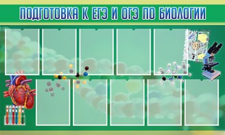 Стенд "Подготовка к ЕГЭ и ОГЭ по биологии" Вариант 2 - fgospostavki.ru - Грозный