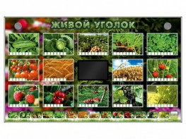Комплект оборудования "Живой уголок" (растения) - fgospostavki.ru - Грозный