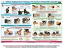 Комплект плакатов "Оказание первой доврачебной медицинской помощи" - fgospostavki.ru - Грозный