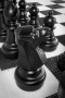Напольные фигуры шахматные гигантские 61 - fgospostavki.ru - Грозный