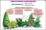 Комплект кодотранспарантов "Культурные растения" - fgospostavki.ru - Грозный