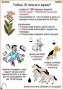 Комплект кодотранспарантов "Ядовитые растения" - fgospostavki.ru - Грозный