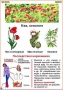 Комплект кодотранспарантов "Ядовитые растения" - fgospostavki.ru - Грозный